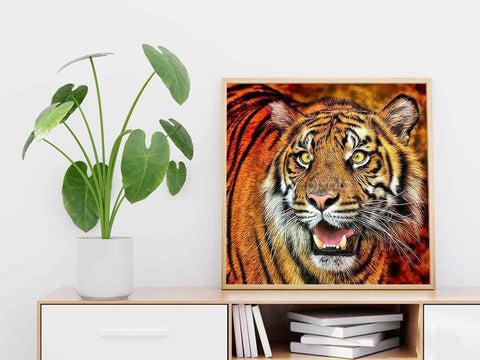 Tiger - DIY Diamond Painting Kit
