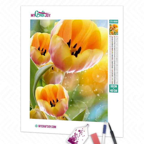 Flowers - DIY Diamond Painting Kit