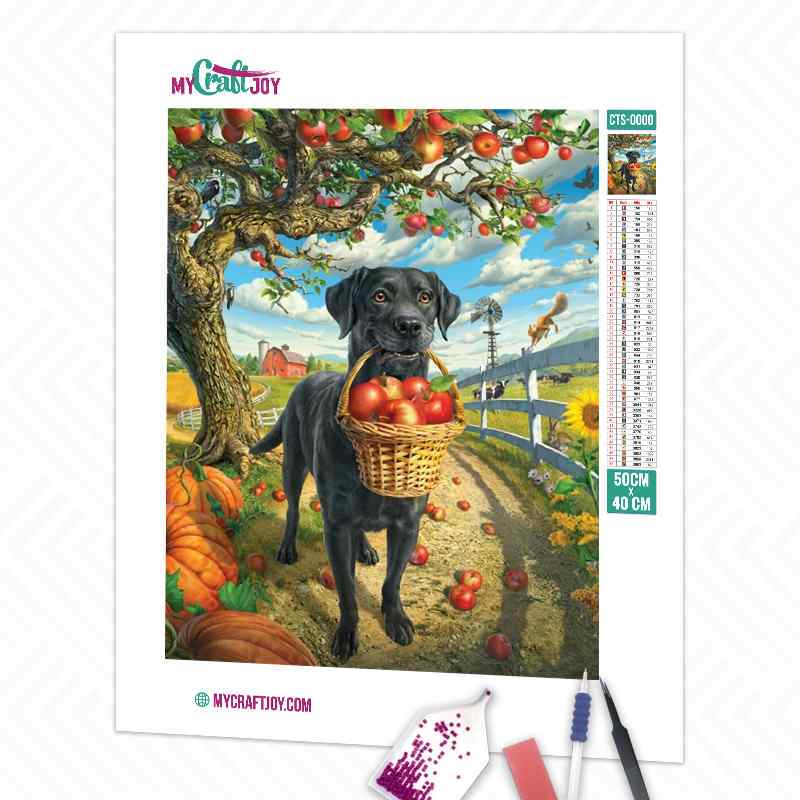 Dog - DIY Diamond Painting Kit