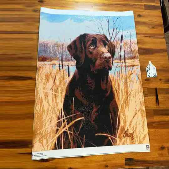 Custom Project! UPGRADE