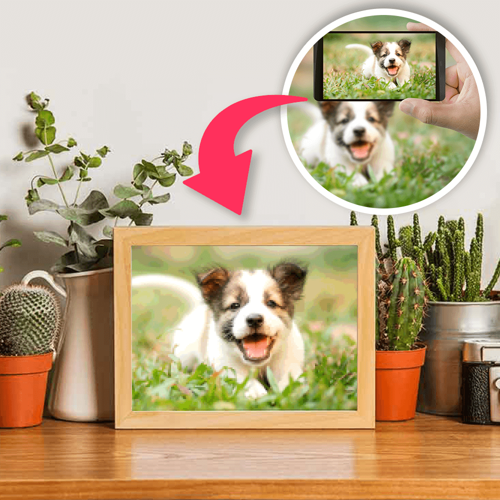 Custom Project! UPGRADE