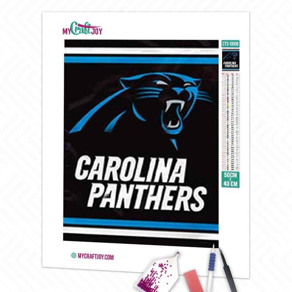 Carolina Panthers Team Footballer - 5D Diamond Painting 