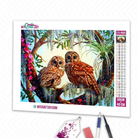 Owls - DIY Diamond Painting Kit