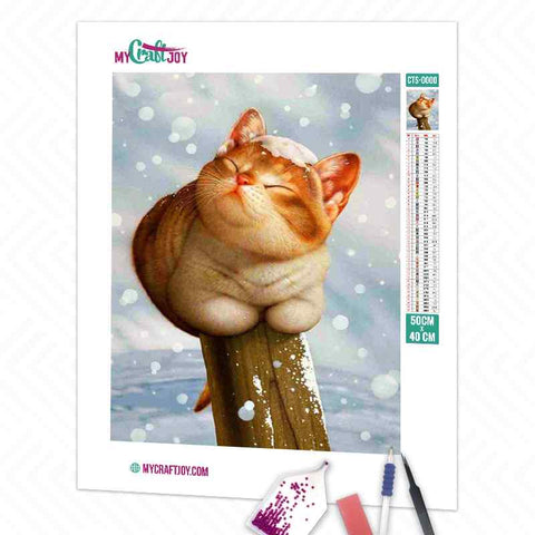 Cat - DIY Diamond Painting Kit