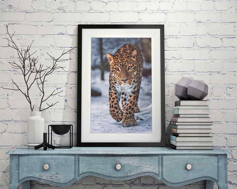 Leopard - DIY Diamond Painting Kit