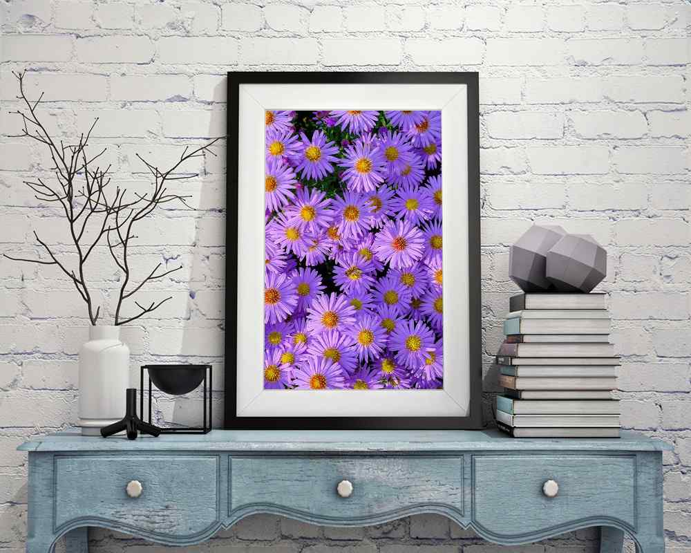 Flowers - DIY Diamond Painting Kit