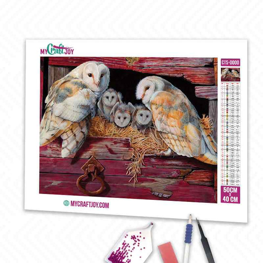 Owls - DIY Diamond Painting Kit