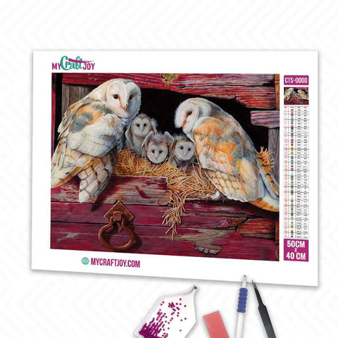 Owls - DIY Diamond Painting Kit